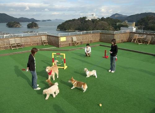 Izumigo Toba Dog Paradise Hotel