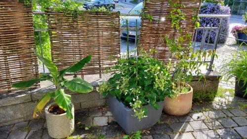 Bed & Breakfast Hotel-caf� 3 Kronen