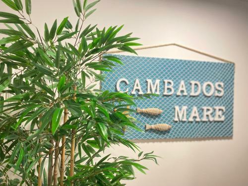 Apartamento Cambados Mare