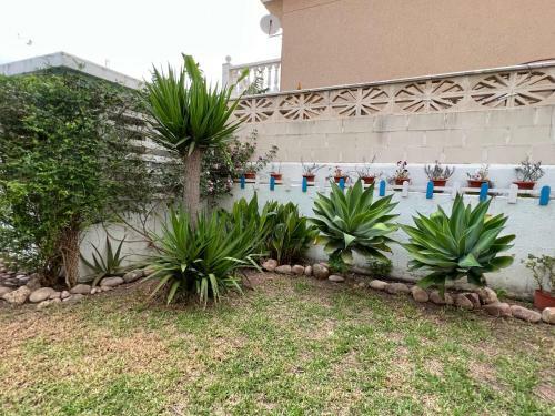 Apartamento Con Jard�n Atalaya Canet