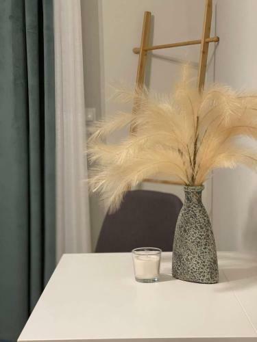 Apartamento Theshome Larissa