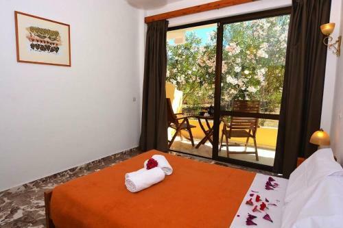 Apartamento Alexandra Studio 3