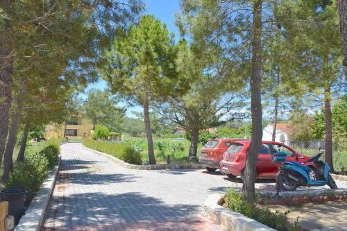 Apartamento Alexandra Studio 2