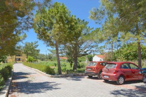 Apartamento Alexandra Studio 2