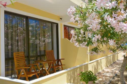 Apartamento Alexandra Studio 2