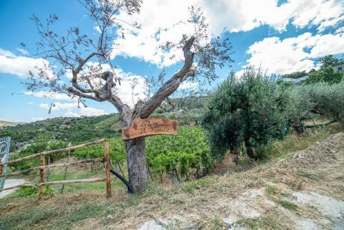Casa Vacanze Il Vigneto