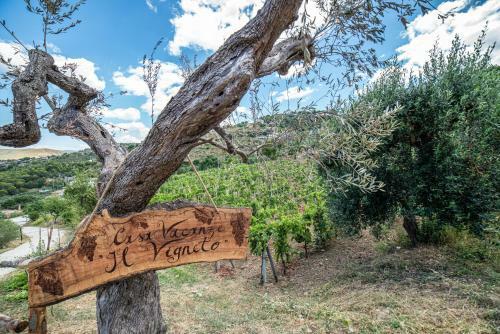Casa Vacanze Il Vigneto
