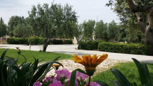 Oasi Degli Ulivi