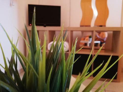 Bed & Breakfast Villa Bema
