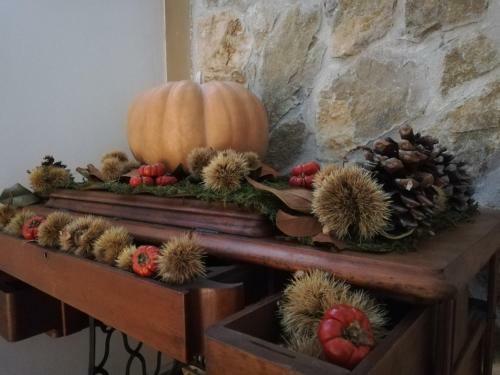 Bed & Breakfast Villa Bema