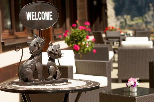 Hotel H�tel Aux Mille Etoiles