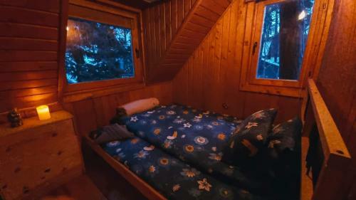 Tiny Wooden Cottage -covasna