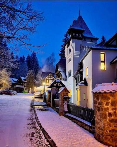 Cosy Apartment
