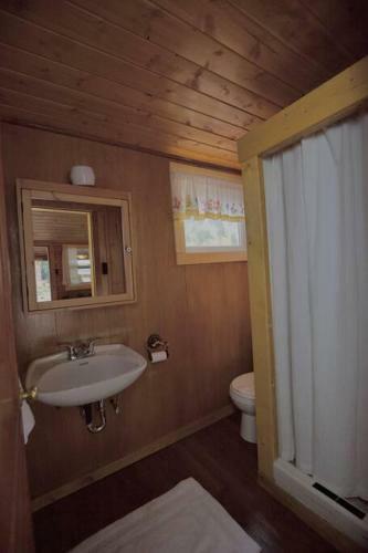 The Bluebonnet Cabin With Mountain Views