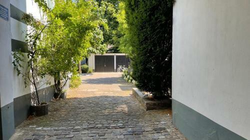 Oase Im Hinterhof