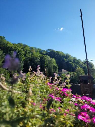 Charmante Maison Enti�re, Terrasse, Vue Sur Rouen.