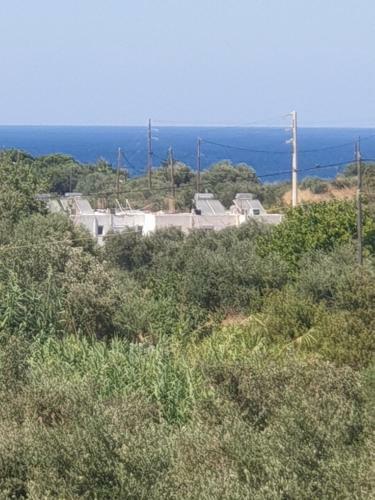 Apartamento Sea View Appartment