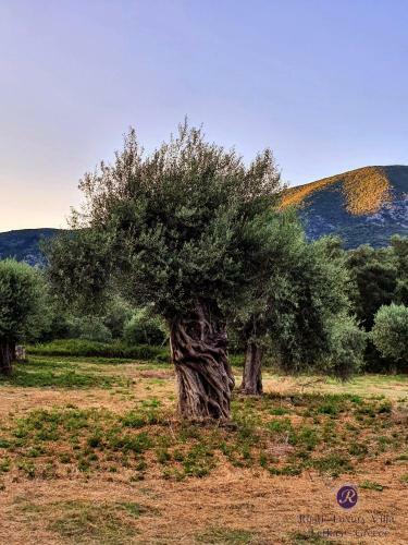 Rustic Luxury Villa Lefkas Greece
