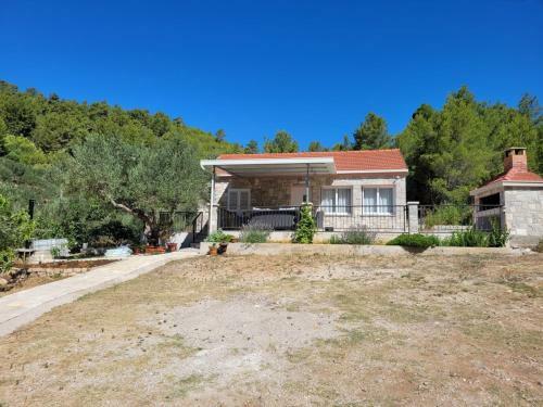 Villa Vila Maslina Grscica