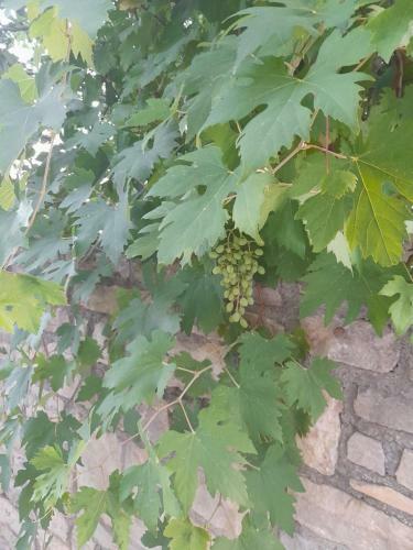 Kamena Ku?a Mamma Mia
