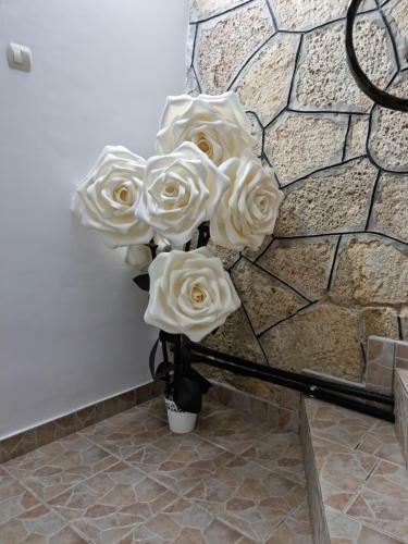 Casa Tiberiu