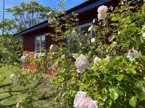 Holiday Home Sk�rhamn VII
