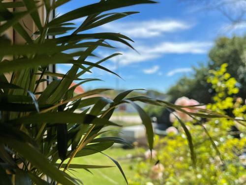 Holiday Home Sk�rhamn VII