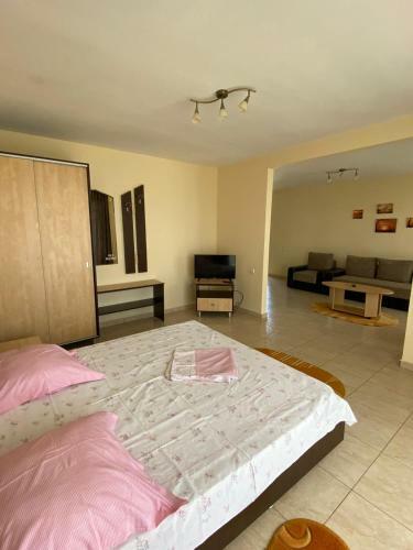 Hostal Villa Pescarus