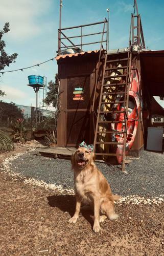 Mirante Da Didi Corumb� IV Mdpf