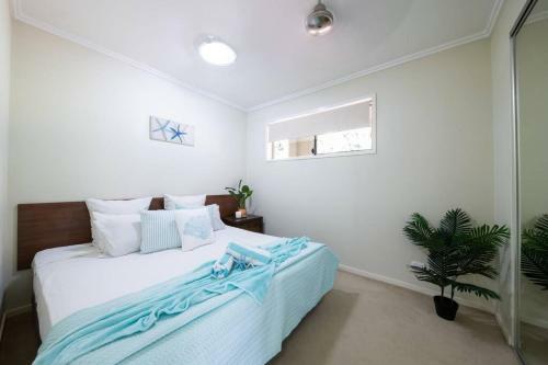 Apartamento Airlie Seaduction