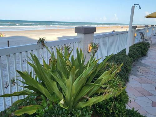 Daytona Beach Resort One Bedroom Suite
