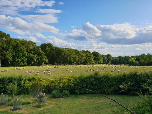 Ducklington Farm B&B