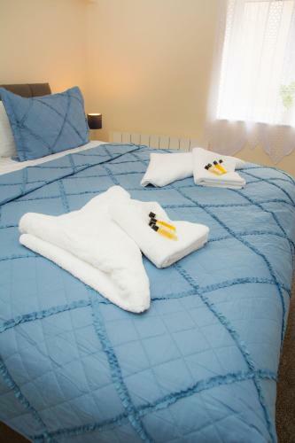 Apartamento 113 B Blue Orchid Contractors Free Parking Pets