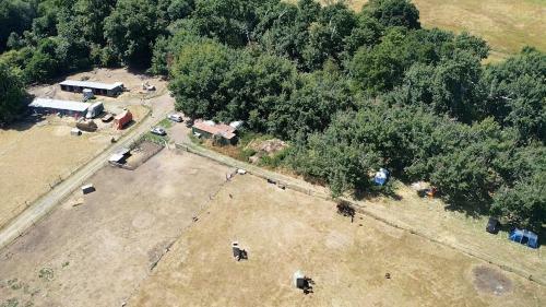 Daisy Mays Farm Camp Site