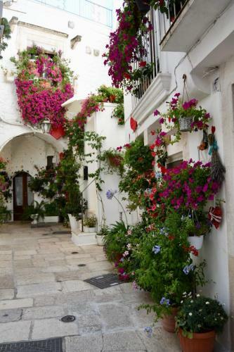 Casa Vacanze Il Giardino