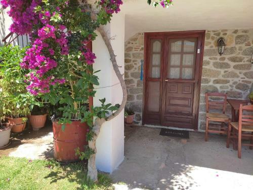 Apartamento Sweet Home
