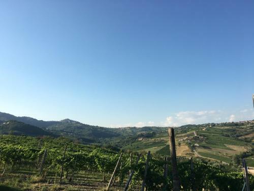 Agroturismo Il Cavaliere