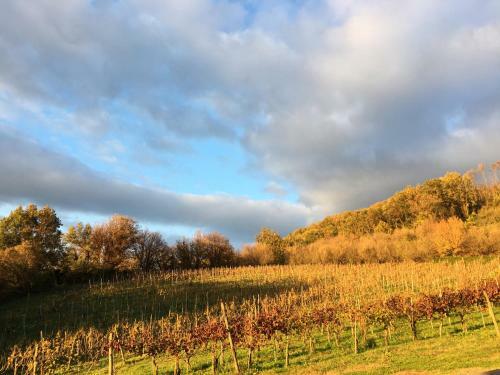 Agroturismo Il Cavaliere