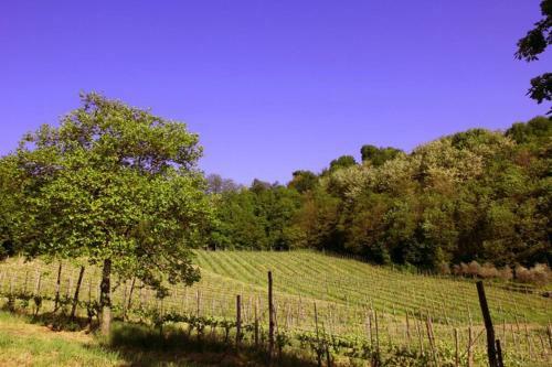 Agroturismo Il Cavaliere