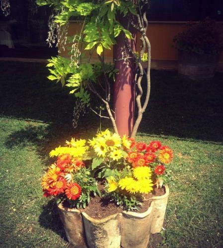 Agroturismo Il Cavaliere