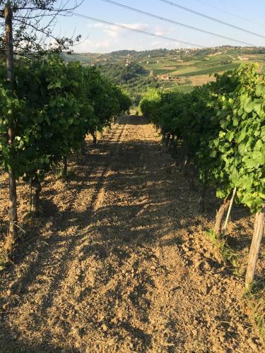 Agroturismo Il Cavaliere