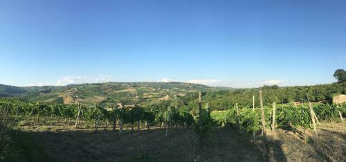 Agroturismo Il Cavaliere