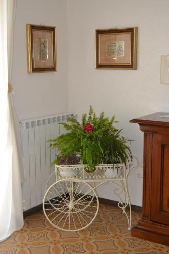 Bed & Breakfast Marena