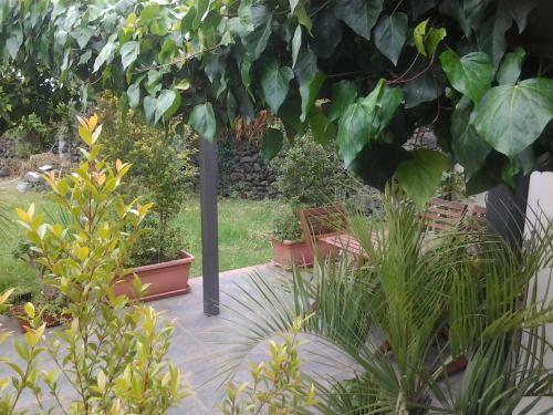 Apartamento Mamma Etna