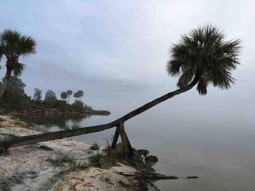 Apartamento Duplicate Beach Cottage Castaway C