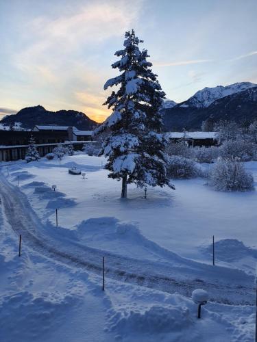 Apartamento Traumwohnungen F�ssen