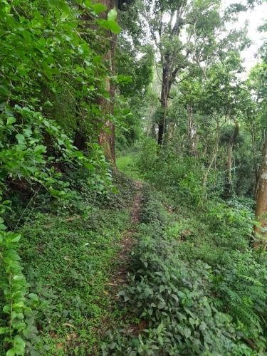 Prakash Nature Nest