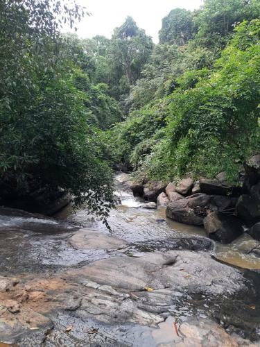 Prakash Nature Nest