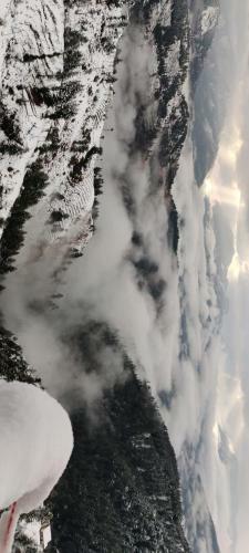Shubham Homestay, Kufri