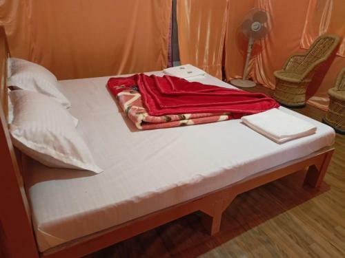 Shimla Camping